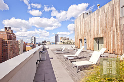 Actor Matthew Modine Lists Garden Loft Duplex In New York City photo