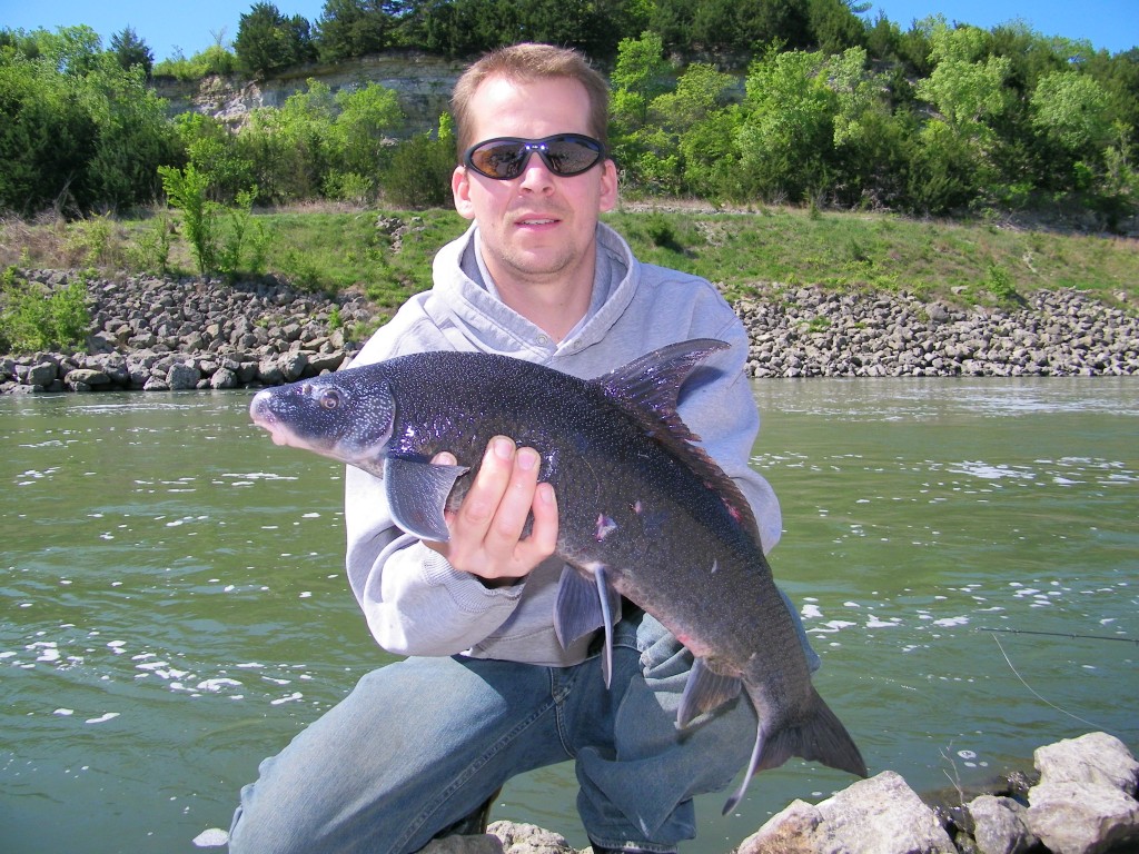 Paul Schumann with a Blue Sucker from Republican River, Kansas (April 2012). Photo by Paul Schumann. See http://www.roughfish.com/content/thousand-miles-blue-sucker for details.