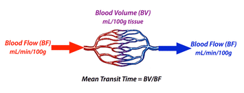 mean transit time (MTT)