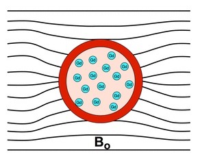 gadolinium in blood susceptibiity