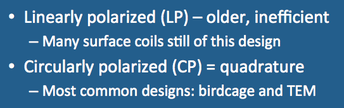 MRI linearly polarized; circularly polarized RF