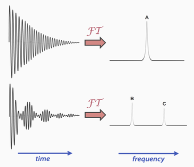 FOURIER TRANSFORM FID