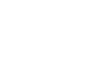 Novo Nordisk Logo