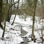 Stream By Cotton Lane, Benington, Hertfordshire, England