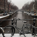 Valentine's Day in Amsterdam