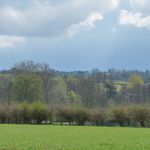 Springtime in Walkern, Hertfordshire