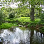 River Beane at White Hall, Hertfordshire