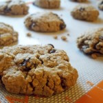 Gluten-Free Oatmeal Raisin Cookies