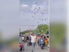 Watch: Hyderabad YouTuber Throws Money On Street In Viral Video