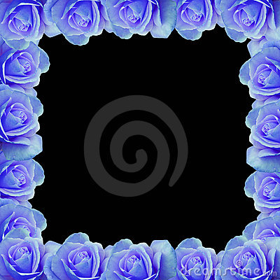 Blue Rose Border