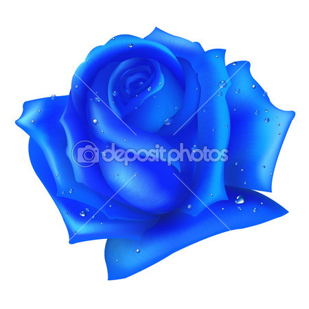 Blue Rose Clip Art