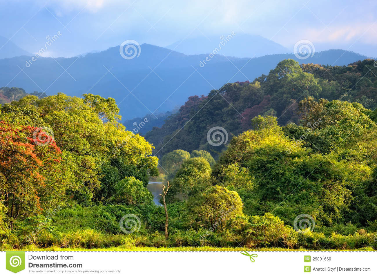 Southern India Landscape