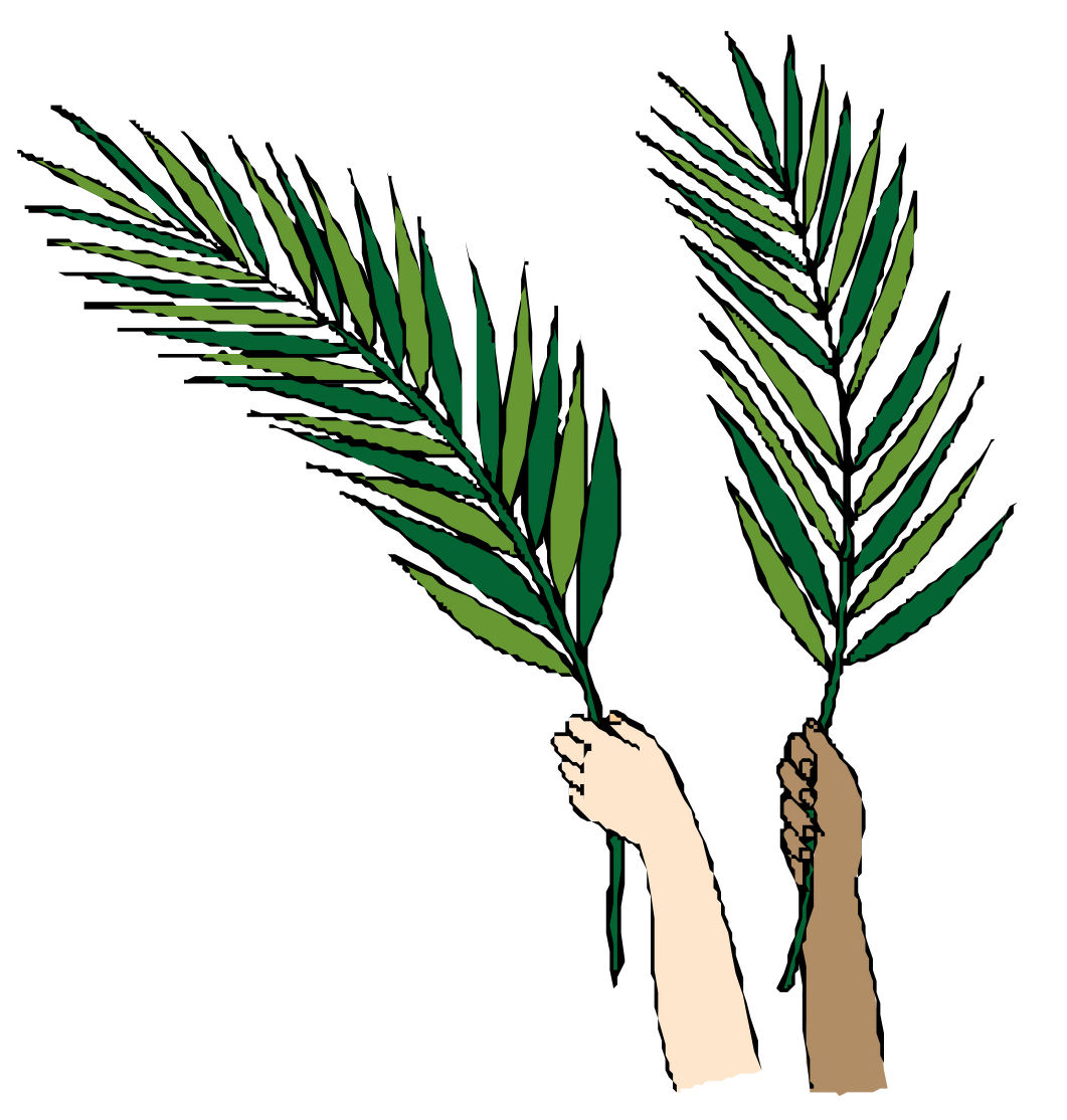 15 Palm Leaf Graphic Images