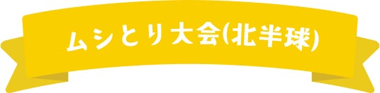 ムシとり大会（北半球）