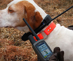 GPS Dog Tracking Collar