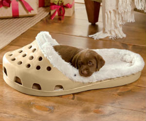 Shoe Shaped Dog Bed