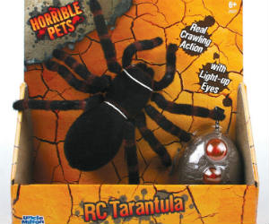 Radio Control Tarantula