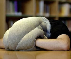 Ostrich Pillow