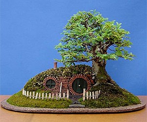 Bag End Bonsai