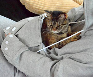 cat hoodie pouch