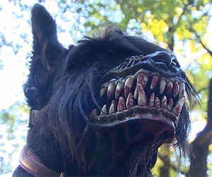 Werewolf Dog Muzzle