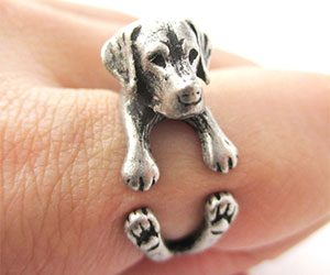 Animal Rings