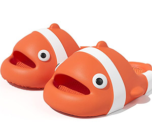 Nemo Cloud Slides