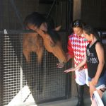 Quite Rightly meets his 10-year-old sponsor Sara Linsner.