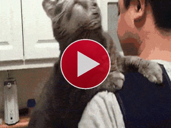 GIF: No quiero que te marches...