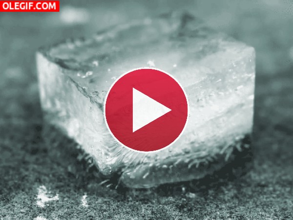 GIF: Cubito de hielo derritiéndose