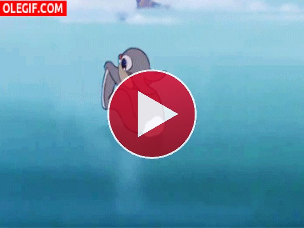 GIF: Tambor disfrutando en el hielo