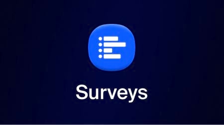 Surveys のユーザーガイド