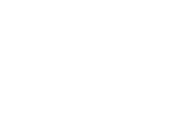 Logotipo de Zoom One