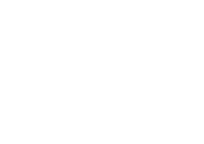 Logo do Zoom Phone