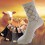 10pcs/Lot Men Winter Thickened Wool Socks Room Socks Dash Line Mixed Colors