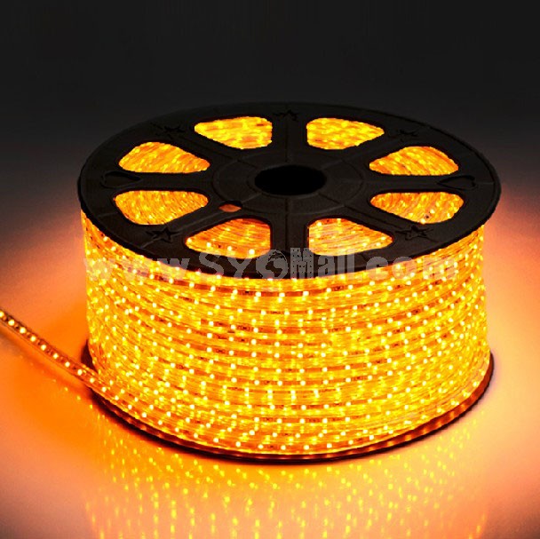 VOTORO LED Light String Rope Light 60 LED/3528 SMD 3.3Ft Waterproof