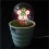 Beautiful stars bonsai
 night light