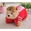 Teddy Bear Shaped Plush Toy LED Star Night Projector Night Light