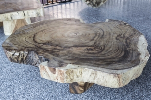 Coffee Tables | Suar wood - Indonesia - CT08