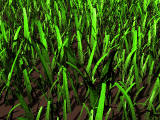 Grass generator