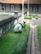 Jardiniers du Temple de la Littérature