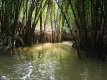 Mekong Delta, Vietnam