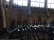 Natural History Museum in London