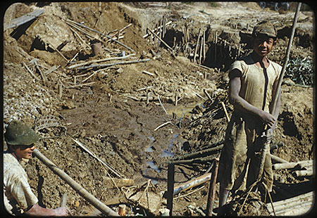 Miners photo image