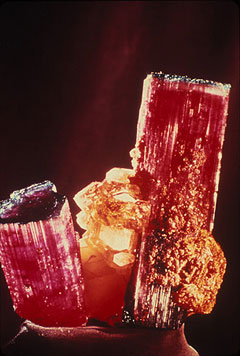 Tourmaline photo image