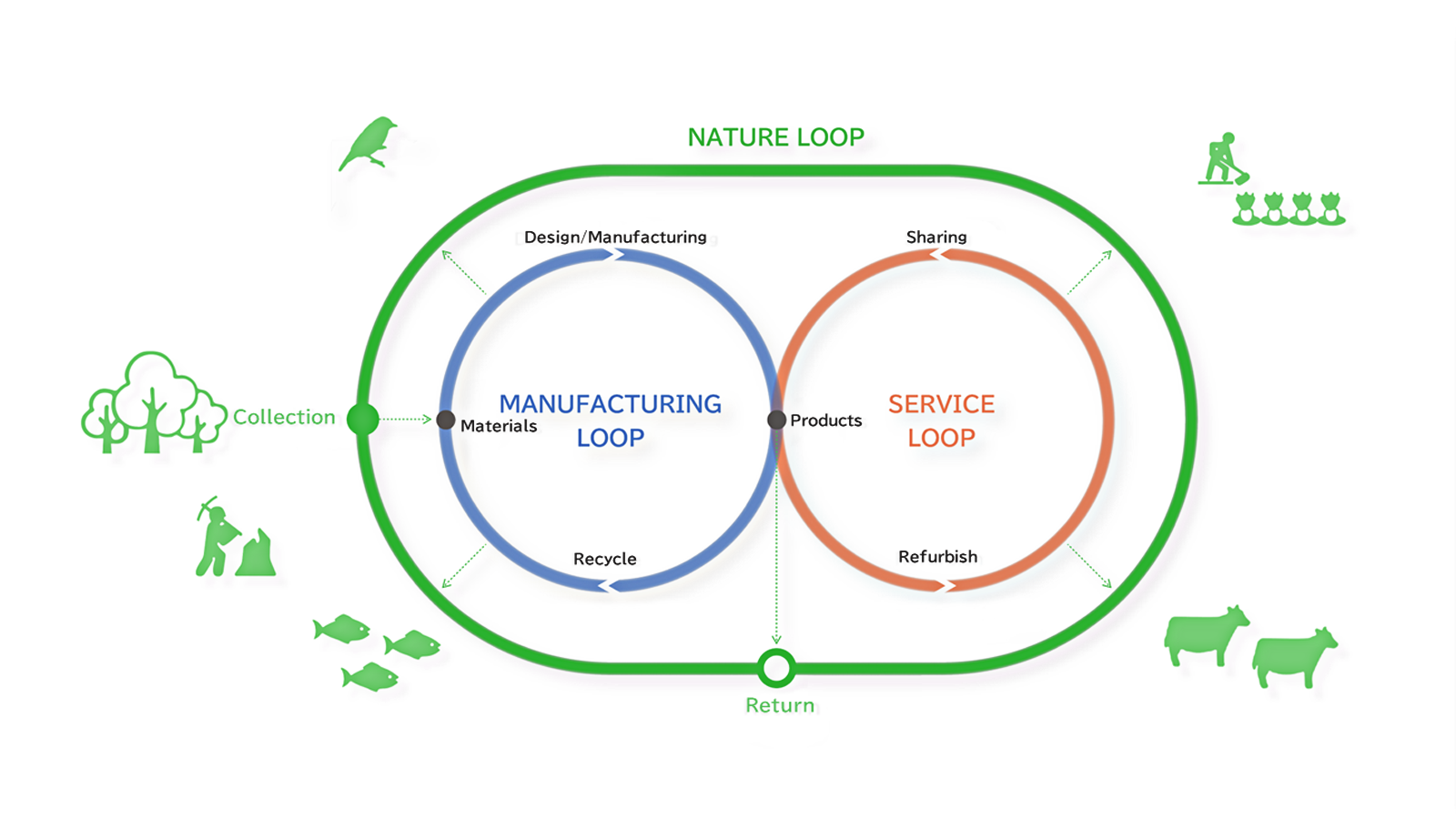 Circular economy model