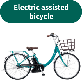 Electric assisted bicycle