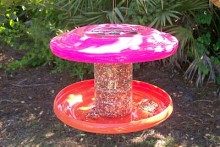 Frisbee-Bird-Feeder