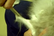 DIY-Fur-Mat-Removal