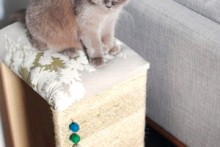 DIY-Cat-Tuffet-Scratcher